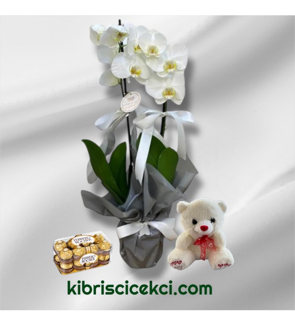 Çift Dal Beyaz Orkide Ayıcık 16'lı Ferrero Çikolata